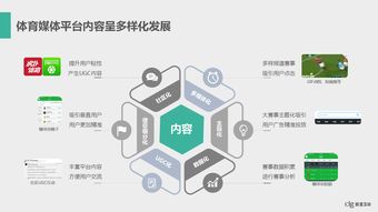 數據驅動未來 199it互聯網數據服務的核心價值與多元化發展