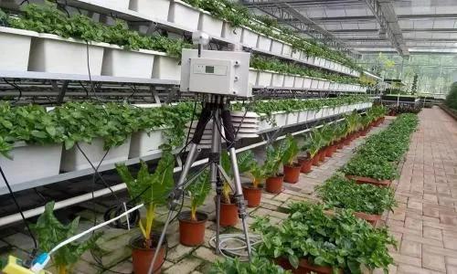 智能農業中的五大關鍵傳感器 精準農業的基石